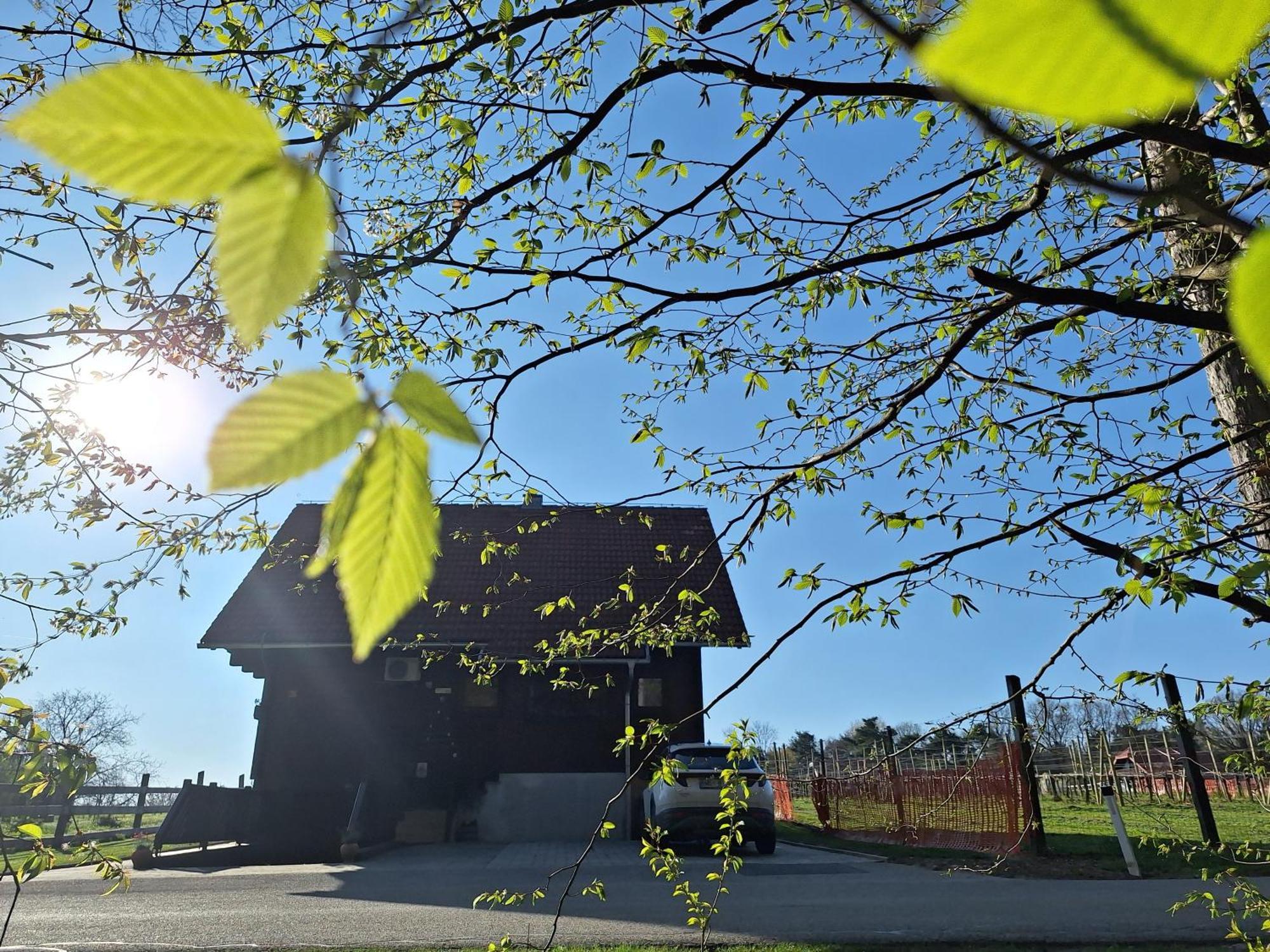 Logarska Koca Villa Fokovci Exteriör bild